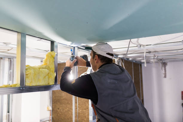 Best Attic Insulation Installation  in Ogdensburg, NY