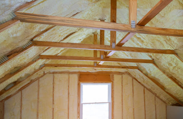 Best Home Insulation Services  in Ogdensburg, NY