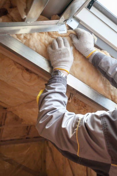 Best Insulation Removal Services  in Ogdensburg, NY