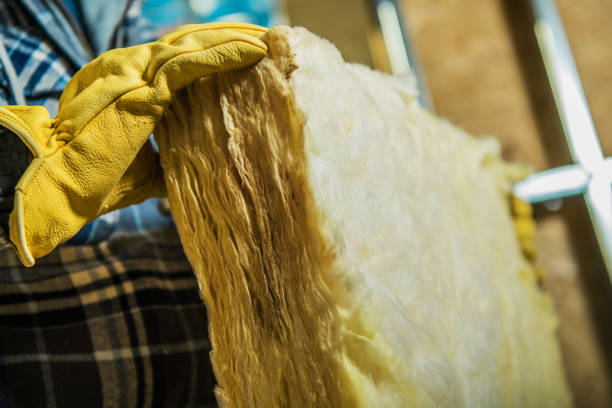 Best Professional Insulation Contractor  in Ogdensburg, NY