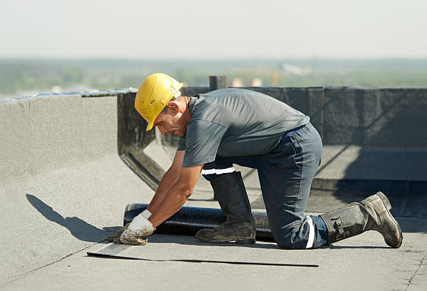 Best Crawl Space Insulation  in Ogdensburg, NY