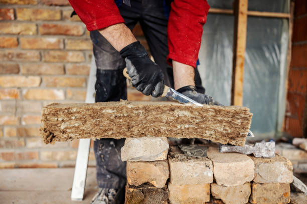 Best Wall Insulation Contractor  in Ogdensburg, NY