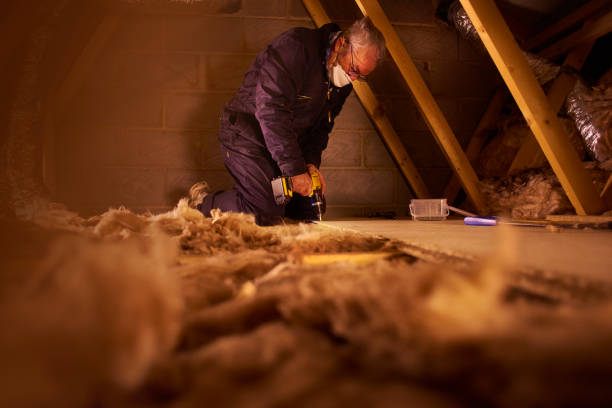 Best Attic Insulation Installation  in Ogdensburg, NY
